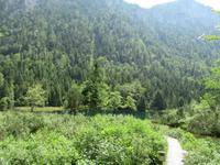 Falkensee Inzell