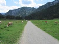 E-Bike Radtour der Eberhardt TRAVEL Gruppe im Juli 2016 durch das Chiemgau