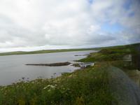 Orkney Inseln 