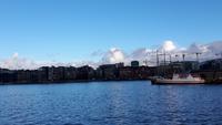 Morgendliche Stimmung am Oslofjord