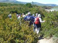 Michel erklärt uns alles genau