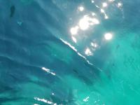 086. Wasser in die Calanques