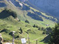 im Alpengarten auf der Schynigen Platte