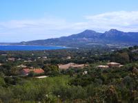 Bucht von Calvi
