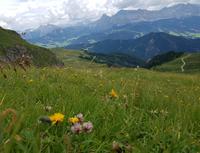 Italien Wandern in Südtirol - Dolomiten (143)