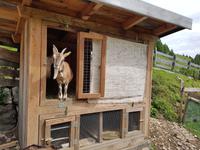 Italien Wandern in Südtirol - Dolomiten (173)