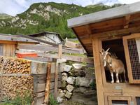 Italien Wandern in Südtirol - Dolomiten (174)