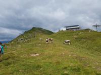 Italien Wandern in Südtirol - Dolomiten (196)