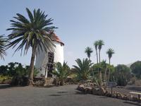 Rundreise – Inselhüpfen Lanzarote, Fuerteventura (204)