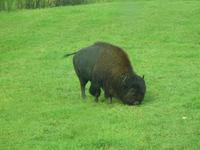 zu Besuch im Omega-Park