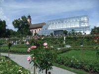 Im Rosengarten