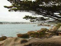 Rosarote Granitküste 1