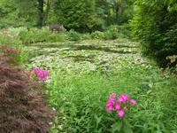 Fondation Claude Monet Wassergarten