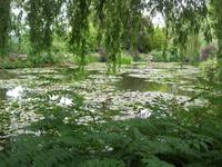 Fondation Claude Monet Wassergarten