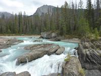 Kicking Horse River