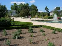 Rouen  Jardin des Plantes