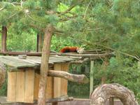 Parc Paysager et Zoologique de Champrépus