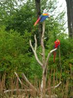 Parc Paysager et Zoologique de Champrépus