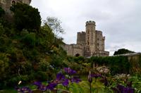 020 Windsor Castle