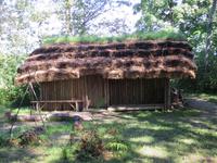 Araisi im Gauja-Nationalpark