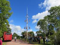 Middsommerfestbaum