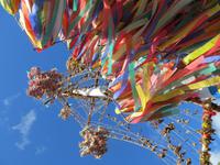 Middsommerfestbaum