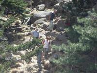 Da kommen die Wanderer