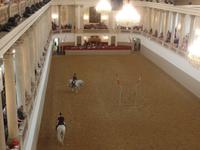 Wiener Hofreitschule