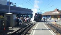 Rigi-Dampfbahn in Vitznau