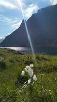 Å i Lofoten