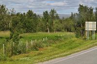 Elch - exakt in der Bildmitte!