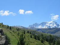 287 Wanderung auf dem Blumenweg von Blauherd nach Sunnegga