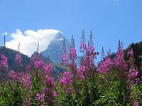 385 Wanderung von Furi nach Zermatt -Blick zum Matterhorn