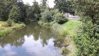 Krutinnen