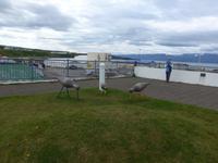Island, Husavik