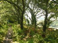 Wanderung Bonne Nuit 3