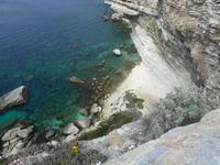 Bonifacio