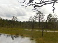 Lahemaa Nationalpark