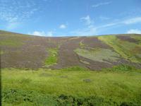 Schottland Impressionen