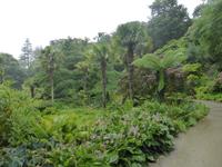 023-Glenveagh_Castle