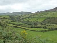 104-Dingle_Peninsula