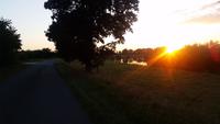 Spaziergang entlang der Aller direkt vor dem Hotel