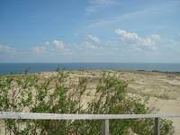 Nidden: Düne