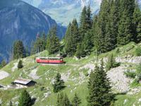 Schynige Platte