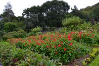 Walled Garden im Glenveagh National Park