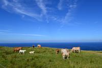 Einwohner des Burren