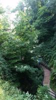 Shanklin Chine - Eine unerwartet auftretende wilde Schlucht mit tropischer Vegetation