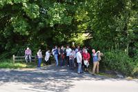 Dartmoor - Spinster's Rock