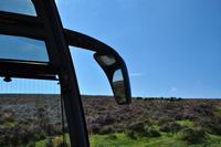 Dartmoor - Blühende Dartmoor Heide