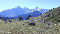 Schynige Platte (Blick auf Eiger, Mönch und Jungfrau)
